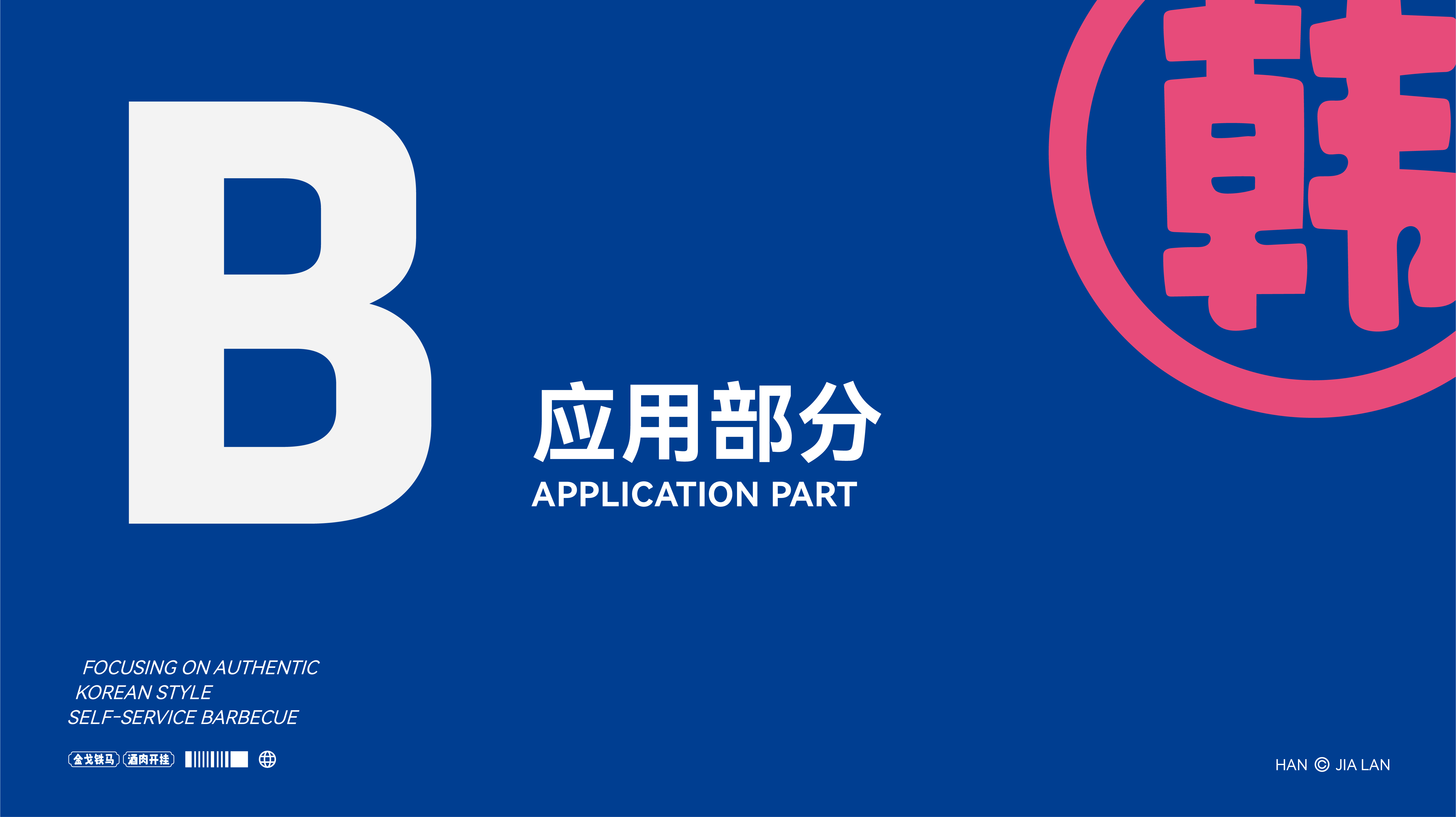 韩嘉岚案例 12